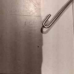 Tandställning, rapporterat av De Efteling med iLost