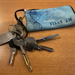 Nøkler, som rapportert av Gemeente Amsterdam - Bureau Gevonden Voorwerpen ved bruk av iLost