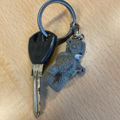 Sleutel, come riportato da Awakenings Upclose utilizzando iLost