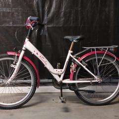 Bicicleta, segons ha informat Gemeente Nijkerk mitjançant iLost