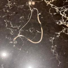 Halskette, gemeldet von Van der Valk Hotel Veenendaal über iLost