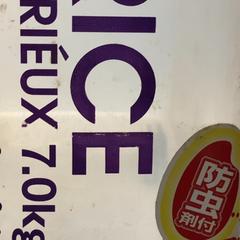 プラスチックケース, as reported by IKEA横浜 using iLost