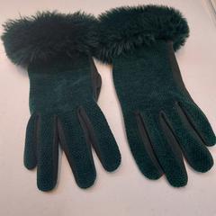 Handschoenen groen, come riportato da Rijksmuseum van Oudheden utilizzando iLost