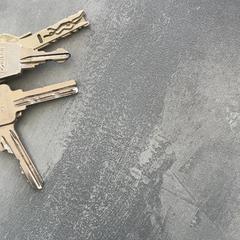 Llaves, ha sido reportado por Arriva Achterhoek-Rivierenland con iLost