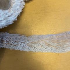 꼭 껴안고 싶은 곰 Crème, iLost를 사용하여 Avonturenboerderij Molenwaard에 보고됨