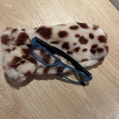 Brille & Handschuh, gemeldet von Van der Valk Hotel Eindhoven - Best über iLost