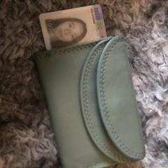 Portemonnee, gerapporteerd met iLost