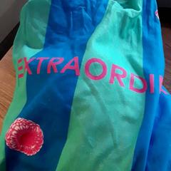Bag, as reported by EBS Tramplein using iLost