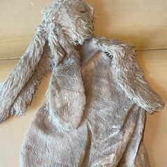 블랭키, iLost를 사용하여 Familie Resort Molenwaard에 보고됨