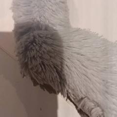 Knuffel がiLostで De Efteling によって報告されました