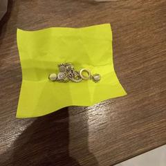 Bracelet Zilver, a été signalé par Van der Valk Hotel Gorinchem utilisant iLost