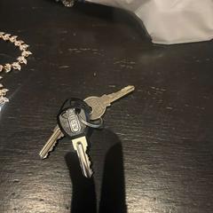 Chiave, come riportato da Van der Valk Hotel Amsterdam-Amstel utilizzando iLost