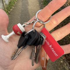 Sleutelbos, jak zgłoszono do iLost