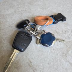 Sleutelbos met autosleutel eraan an iLost gemeldet