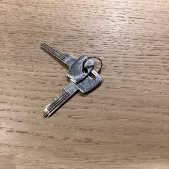 İLost kullanarak Poppodium 013 tarafından bildirildiği gibi Anahtar