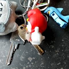 المفاتيح، كما تم الإبلاغ عنه بواسطة Regio Oost-Vlaanderen عبر iLost