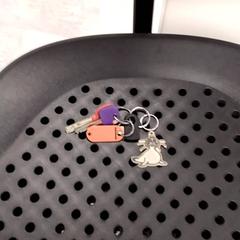 Kulcstartó, amint azt Arriva Infoshop Enschede az iLost segítségével jelentette.