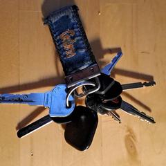 sleutelbos, as reported to iLost