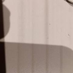 Glasses, as reported by De Efteling using iLost