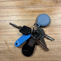 Sleutelbos, como reportado ao iLost