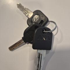 sleutelbos, som rapporterats till iLost