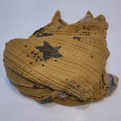 Nappe Geel met sterren, a été signalé par Rijksmuseum van Oudheden utilisant iLost