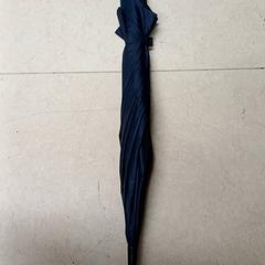 Parapluie Donkerblauw, a été signalé par Qbuzz GD Groningen Peizerweg utilisant iLost