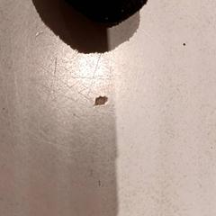 Kuscheltier, gemeldet von De Efteling über iLost