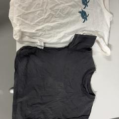 القميص، كما تم الإبلاغ عنه بواسطة Silver Sands Beach عبر iLost