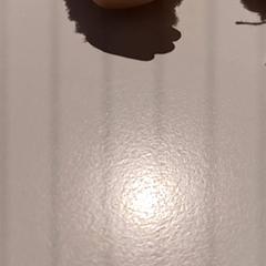 Przytulanka, zgłoszono przez De Efteling przy użyciu iLost