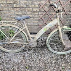 Fiets, iLost'a bildirildiği gibi