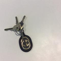 Key, as reported by Gemeente Veenendaal using iLost