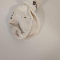 Ponožka, ako bolo nahlásené IKEA Mons pomocou iLost