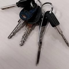 سلسلة المفاتيح، كما تم الإبلاغ عنه بواسطة Arriva Limburg Zuid عبر iLost