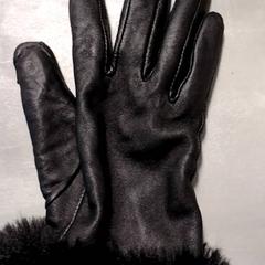 Rukavice Zwart leer, jak nahlášeno Arriva Friesland / Groningen pomocí iLost