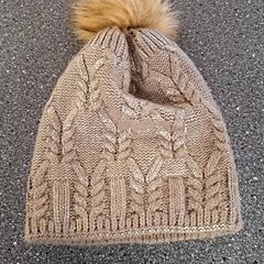 قبعة صغيرة، كما تم الإبلاغ عنه بواسطة Connexxion Amstelveen عبر iLost