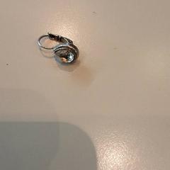 القرط Zilver، كما تم الإبلاغ عنه بواسطة LUMC عبر iLost