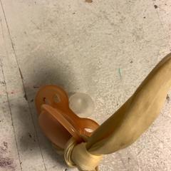 Spene, rapporterat av Artis med iLost