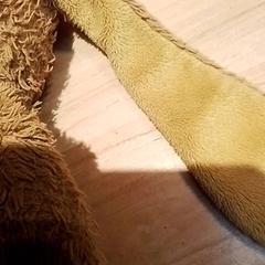 Mysig leksak, rapporterat av Beekse Bergen Resorts en Hotel med iLost