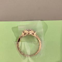 반지, iLost를 사용하여 Bibliotheek Neude (Utrecht)에 보고됨