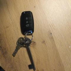 Sleutelbos, ako bolo nahlásené iLost