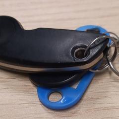 Chaveiro, segundo informou Arriva West-Brabant usando iLost