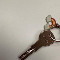 Schlüssel, gemeldet von ilévia über iLost