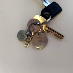 Nøkkel, som rapportert av Bobbejaanland ved bruk av iLost