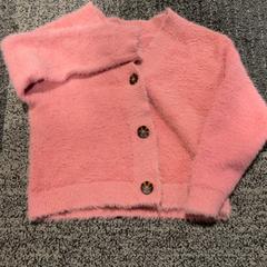 Veste Roze, come riportato da Jaarbeurs utilizzando iLost