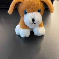 Peluche Hond, a été signalé par Pathé Amsterdam Noord utilisant iLost