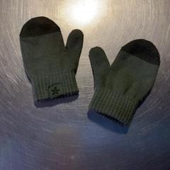 Mitones Kinder groen, ha sido reportado por Burgers' Zoo con iLost