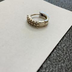 Náušnice silber, jak nahlášeno Schönbrunn "Group Center" pomocí iLost