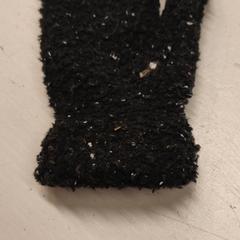 Want, rapporterat av Het Amsterdamse Winterparadijs med iLost