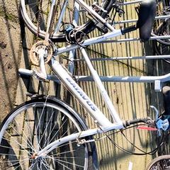 Men’s bike Batavus, as reported by Stadswerk072 using iLost